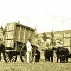 Siglo Mondoñedo
