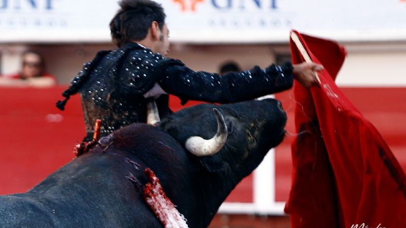 Leo Valadez y Alejandro Talavante, orejeados en la novena de San Marcos