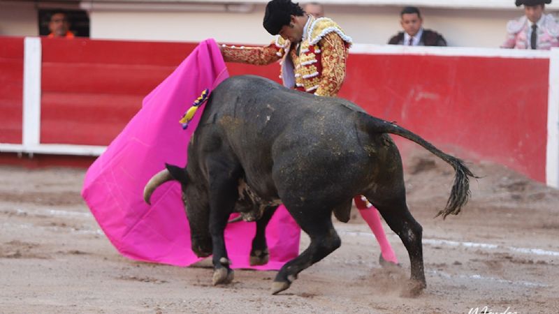 San Román a hombros y Joselito Adame conmocionado en Aguascalientes