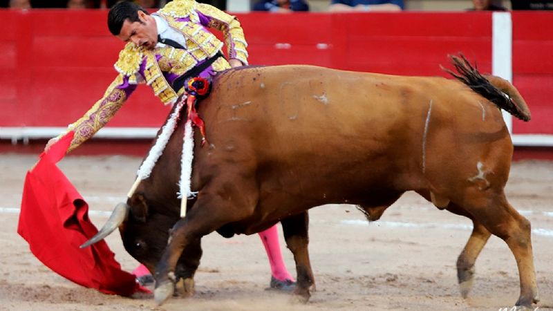 San Román a hombros y Joselito Adame conmocionado en Aguascalientes