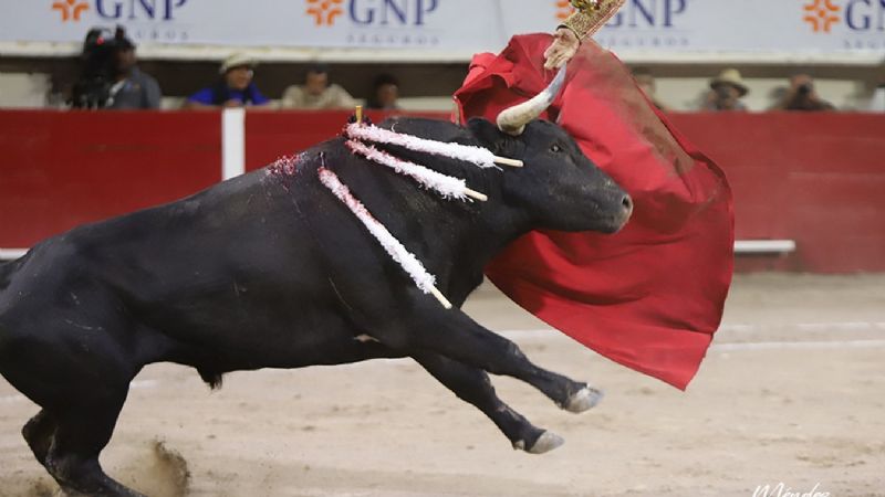 San Román a hombros y Joselito Adame conmocionado en Aguascalientes