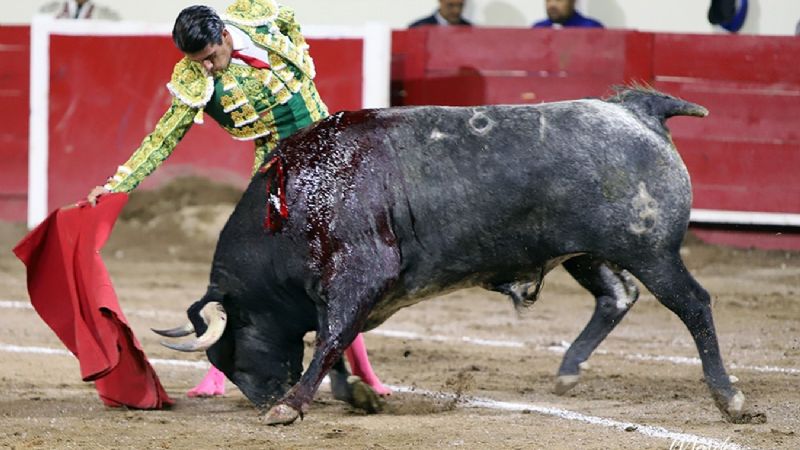 Ginés Marín se impone con autoridad en Aguascalientes