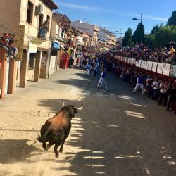 La Fundación Toro de Lidia crea una comisión especializada en el festejo popular