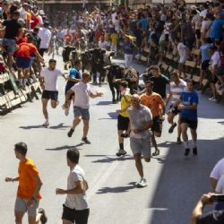 Un encierro rápido y limpio en la segunda cita taurina de las Fiestas Patronales de Blanca 2022