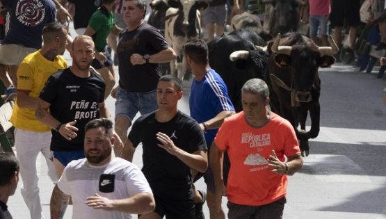 Un último encierro con los astados de Castillejo de Huebra rápido y limpio en Blanca