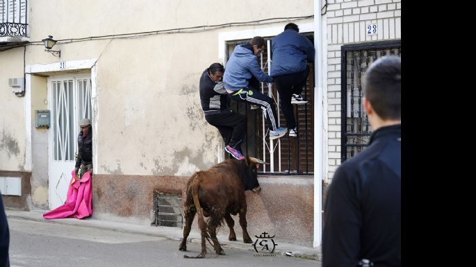 Fotografías de la suelta de Mazuecos