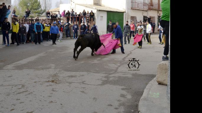 Fotografías de la suelta de Mazuecos