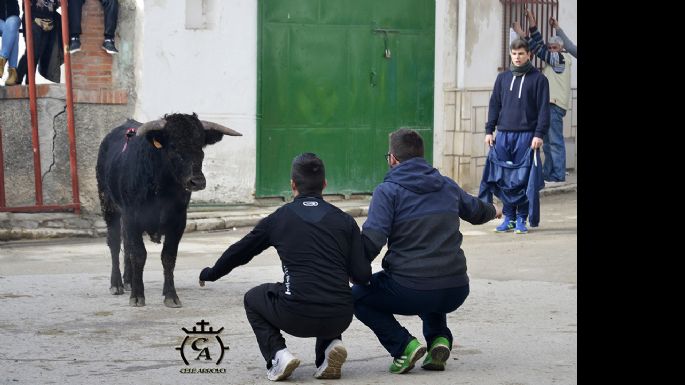 Fotografías de la suelta de Mazuecos