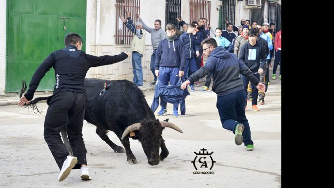 Fotografías de la suelta de Mazuecos