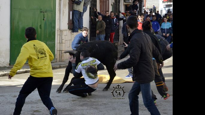 Fotografías de la suelta de Mazuecos