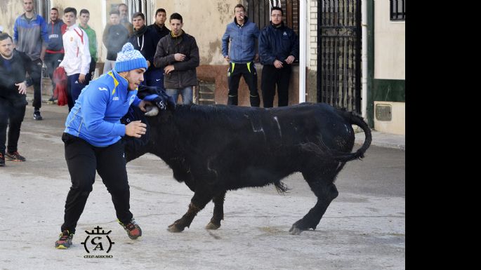 Fotografías de la suelta de Mazuecos