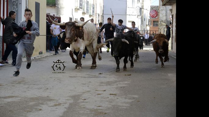 Fotografías de la suelta de Mazuecos