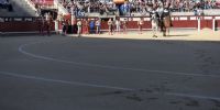 Paseíllo en Las Ventas - Álvaro Ramírez