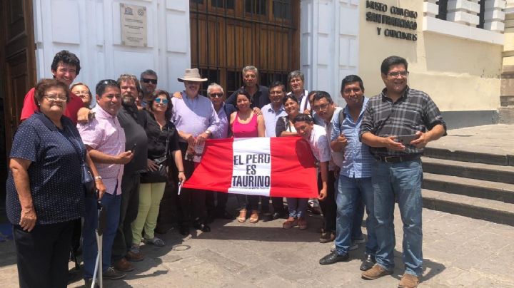 El TC declara inconstitucional la demanda anti