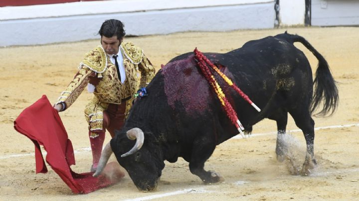 Morante de la Puebla brilla en Jaén