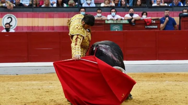 Morante de la Puebla, premio a la mejor faena de la Feria de San Lucas de Jaén