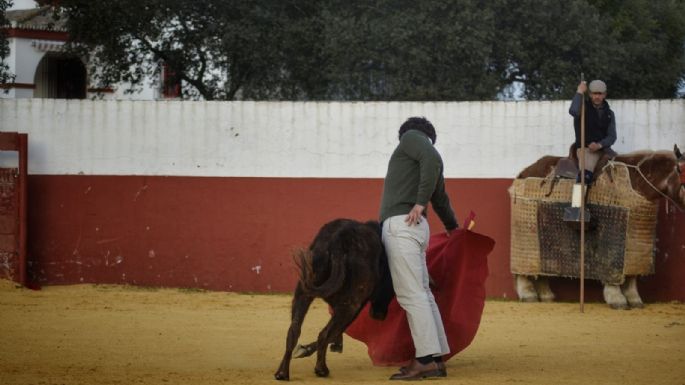 Víctor Puerto reactiva las "Clases Magistrales" sobre la Tauromaquia