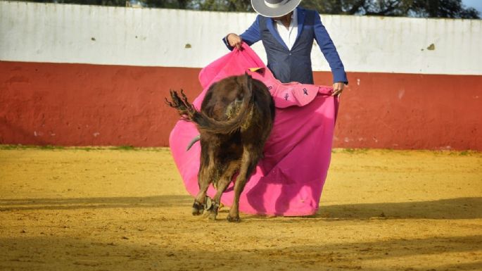 Víctor Puerto reactiva las "Clases Magistrales" sobre la Tauromaquia