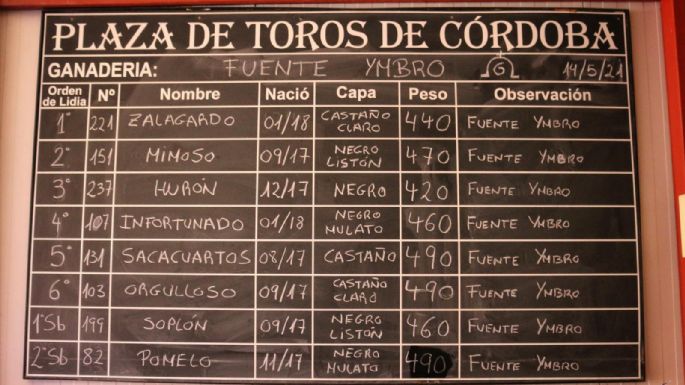 Sorteados los de Fuente Ymbro para la novillada de Córdoba
