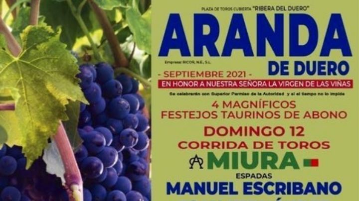 Una corrida de Miura entre los alicientes de la Feria de Aranda de Duero