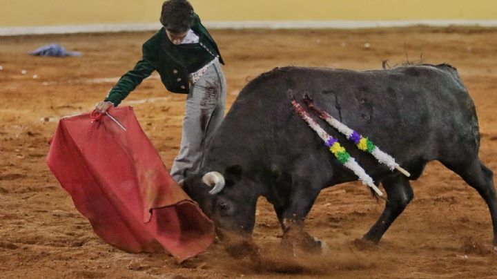 La empresa confirma que la corrida de Juriquilla no está suspendida y mantiene el festejo