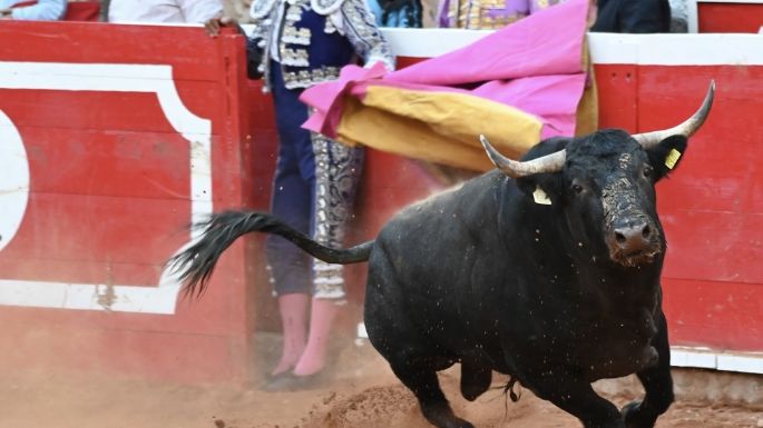 Juan Pablo Llaguno oreja, tras artísticas faenas en Zacatecas