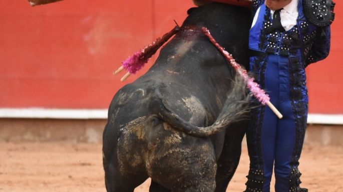 Gran tarde en Zacatecas