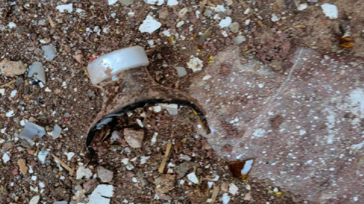 Habrá denuncia penal contra los que afectaron a los toros