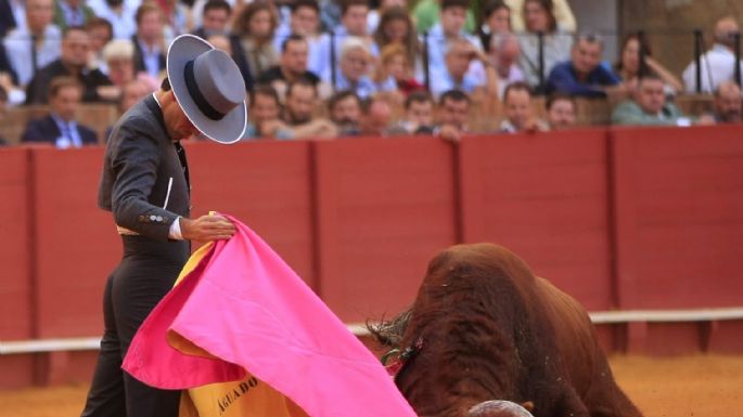 Roca Rey impulsa en Sevilla un festival benéfico con César Rincón y grandes figuras