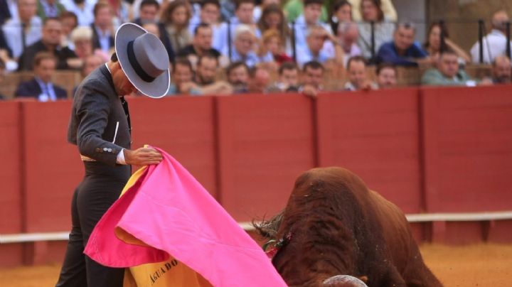 Roca Rey impulsa en Sevilla un festival benéfico con César Rincón y grandes figuras