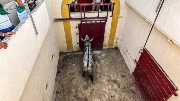 Orden de lidia de la corrida de Los Maños para Huesca
