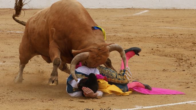 ¡Viva Dolores Aguirre!
