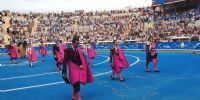La Goyesca de Bayona, toro a toro
