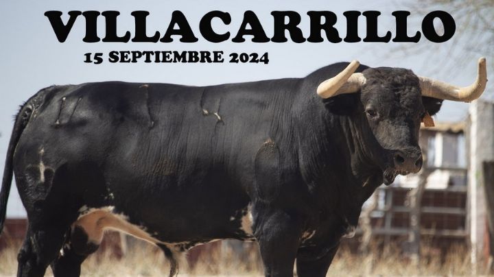 Entipada y seria corrida de Benítez Cubero para la III Corrida Pictórica del Aceite de Villacarrillo