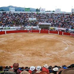 En el aire las corridas de la Fenaza tras una suspensión judicial
