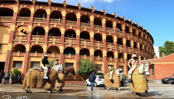 Zaragoza, el claro ejemplo de un toreo que vive a por uvas