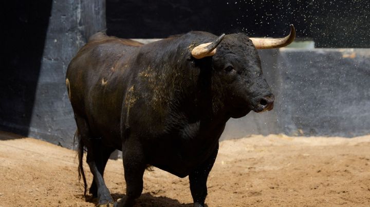 Orden de lidia de los toros de Alcurrucén para la 5ª de abono