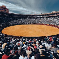 Valencia puede aprender de Málaga