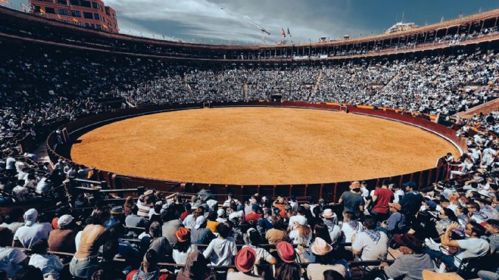 Valencia puede aprender de Málaga