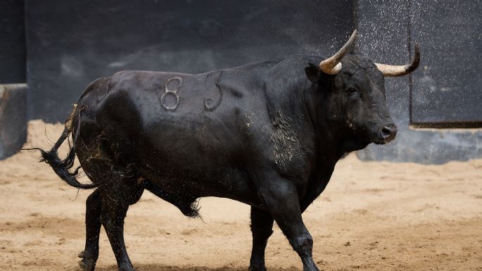 Orden de lidia de los toros de Garcigrande para la 14ª de abono