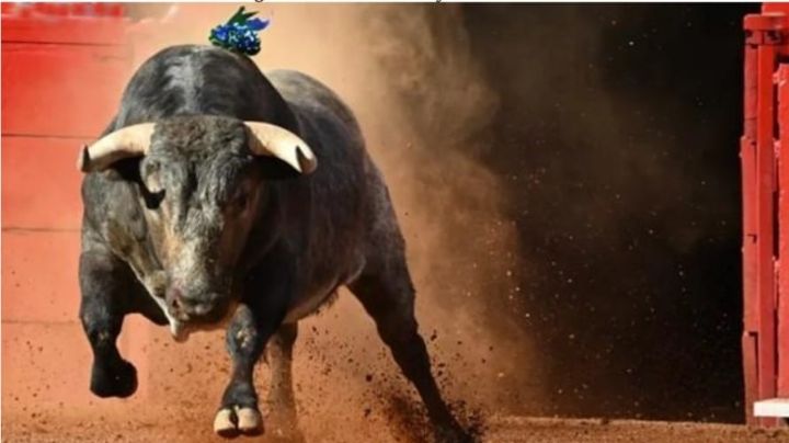El patrón de oro