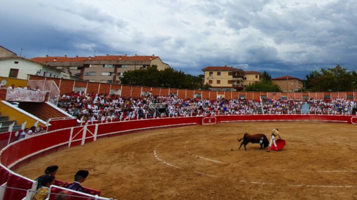 Sangüesa anuncia una variada XIX Feria Taurina “Pocha de Oro” del 10 al 17 de septiembre