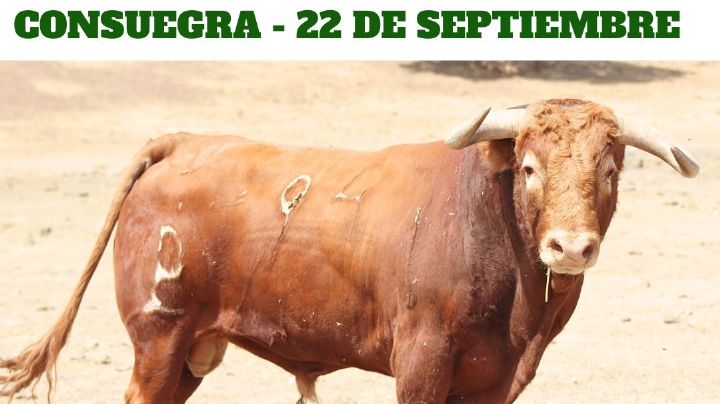 La corrida de Alcurrucén para Consuegra desde el campo