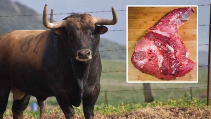 El arancel de los toros