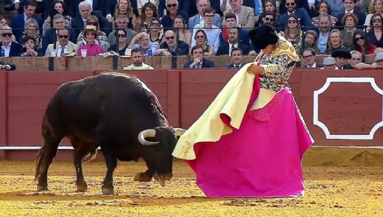Corrida con todo