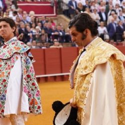 El problema no es la falta de toreros