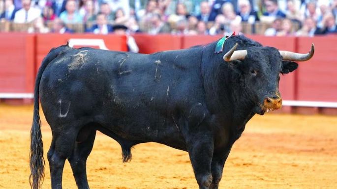 Cambia el toro y todo cambia
