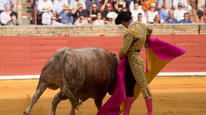 Pablo Aguado corta la única oreja del festejo en una tarde amable