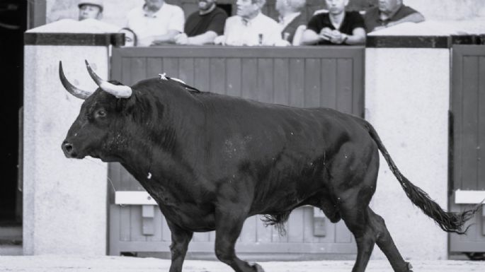¿Por qué en Las Ventas no se indulta?