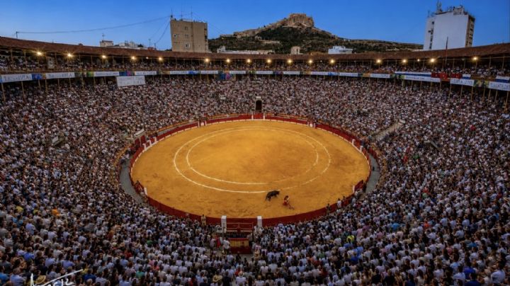 Las cifras de una Feria de Hogueras 2026 inolvidable: más de 62.000 espectadores y visitantes